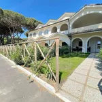 Rent 3 bedroom apartment of 60 m² in Grosseto