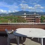 Rent 3 bedroom apartment of 85 m² in Pisa