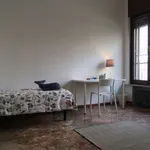 Rent a room in padua