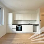 Rent 2 bedroom apartment of 41 m² in Linz