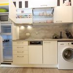 Rent 1 bedroom apartment of 37 m² in Dresden