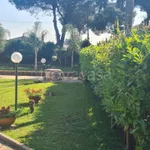 Rent 5 bedroom house of 75 m² in Capaccio Paestum