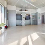 Rent 6 bedroom apartment of 280 m² in Francavilla Fontana