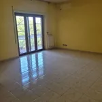 Rent 4 bedroom apartment of 120 m² in Roma