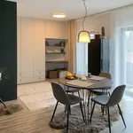 Rent 2 bedroom apartment of 55 m² in Brno