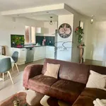 Rent 3 bedroom apartment of 70 m² in ToulouseT