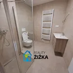 Rent 2 bedroom apartment in Brno