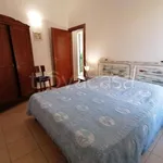 Rent 3 bedroom apartment of 100 m² in Spello