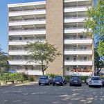 Rent 2 bedroom apartment of 59 m² in Neuss