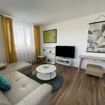 Rent 1 bedroom apartment of 47 m² in Prague