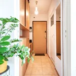 Rent 2 bedroom apartment of 36 m² in Łódź