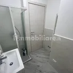 Rent 3 bedroom apartment of 45 m² in Pisa