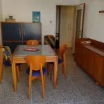 Rent 3 bedroom apartment of 80 m² in Bologna