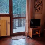 Rent 3 bedroom apartment of 55 m² in Ponte di Legno