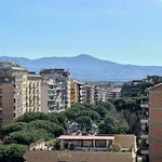 Rent 1 bedroom apartment in Rome