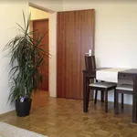 Rent 2 bedroom apartment of 52 m² in Munich