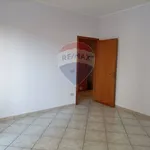 Rent 3 bedroom apartment of 118 m² in Casteldaccia