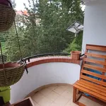 Rent 2 bedroom apartment of 52 m² in Wrocław