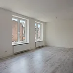 Huur 4 slaapkamer appartement van 152 m² in Maastricht