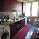 Rent 2 bedroom apartment of 75 m² in Roma