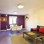 Rent 1 bedroom apartment in Canterbury