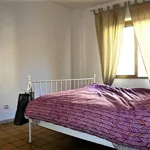 Rent 2 bedroom apartment of 55 m² in Roma