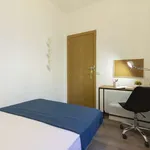 Rent a room of 83 m² in madrid