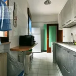 Rent 1 bedroom apartment of 22 m² in treviso