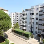 Rent 4 bedroom apartment of 100 m² in Brindisi