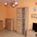 Rent 1 bedroom apartment of 32 m² in Jičín