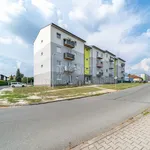 Pronajměte si 3 ložnic/e byt o rozloze 65 m² v Kaznějov