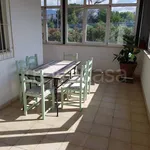 Rent 2 bedroom apartment of 50 m² in Lamezia Terme