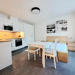 Rent 1 bedroom apartment in Brno