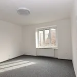 Rent 1 bedroom apartment of 70 m² in Olomouc