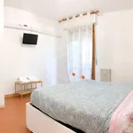 Rent 2 bedroom apartment of 45 m² in Pisa