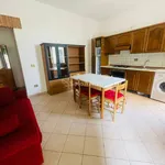 Rent 2 bedroom apartment of 45 m² in Ferrara