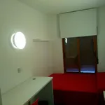 Alquilar 5 dormitorio casa en Murcia