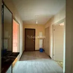 Rent 4 bedroom apartment of 120 m² in Turin