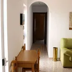 Rent 2 bedroom apartment of 50 m² in cadiz