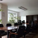 Rent 1 bedroom house of 273 m² in Prague