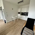 Rent 1 bedroom apartment of 50 m² in Berlin