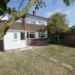 Rent 4 bedroom flat in Colchester