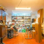 Rent 5 bedroom house of 580 m² in Rome