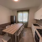 Rent 1 bedroom apartment in legnaro