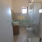 Rent 2 bedroom apartment of 55 m² in Caserta