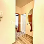 Rent 2 bedroom apartment of 55 m² in Trento