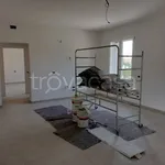 Rent 3 bedroom apartment of 100 m² in Sarmato