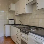 Rent 4 bedroom apartment of 120 m² in madrid