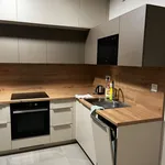 Rent 1 bedroom apartment of 85 m² in Brno