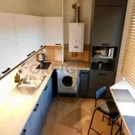 Rent 1 bedroom apartment of 49 m² in Pilsen